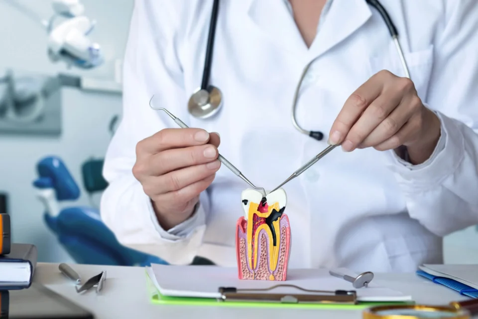 dentist-28277-explaining-root-canal-treatment